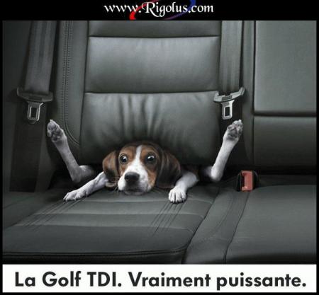 Accroches-toi mon b�b�!  lol